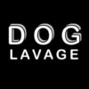 Dog Lavage